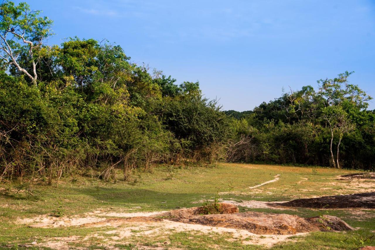 ホテル Wild Trails Yala By Suri エクステリア 写真